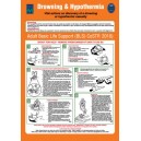 ISM Drowning & Hypothermia Poster Vinyl